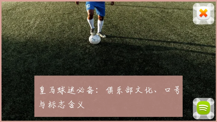 皇马球迷必备：俱乐部文化、口号与标志含义